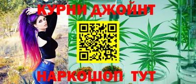 мяу мяу мука Будённовск