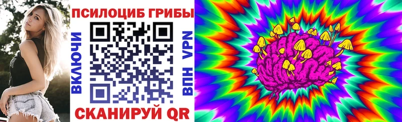 Псилоцибиновые грибы мухоморы  MEGA tor  Зеленогорск  где найти  