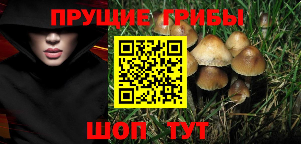 Галлюциногенные грибы GOLDEN TEACHER Зеленогорск