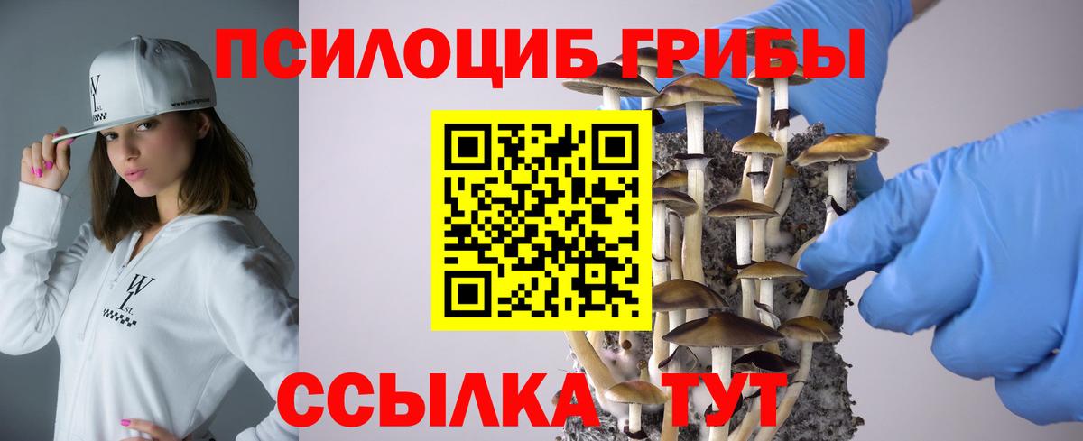 сколько стоит  Зеленогорск  Галлюциногенные грибы Psilocybine cubensis  Галлюциногенные грибы Psilocybine cubensis 