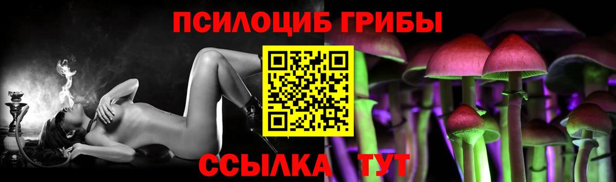 Псилоцибиновые грибы Psilocybe  Вход с VPN  Зеленогорск 